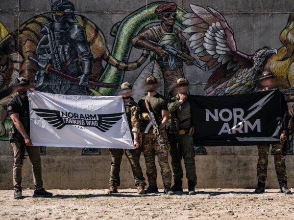 NorArm Flag, Training Wing Logo - Image 2